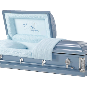 Returning Home - Light Blue